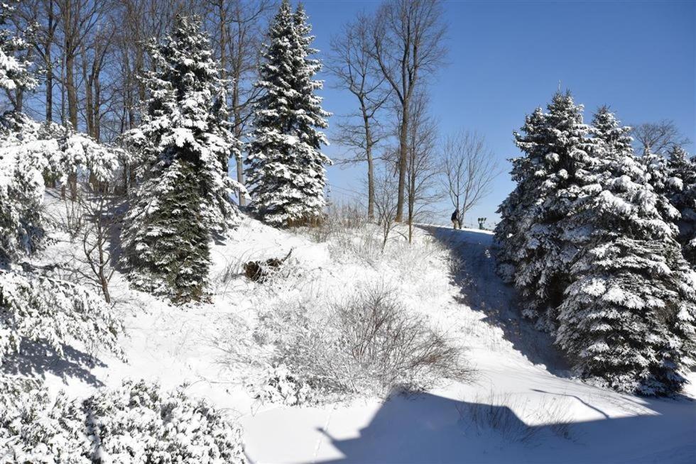 Seven Springs Stoneridge 3 Bedroom Standard Condo, Private Deck *